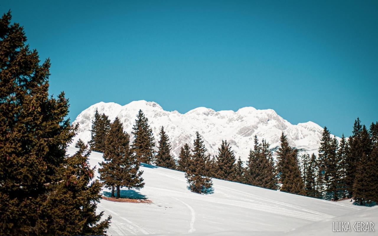 Chalet Neza Velika Planina Stahovica Kültér fotó